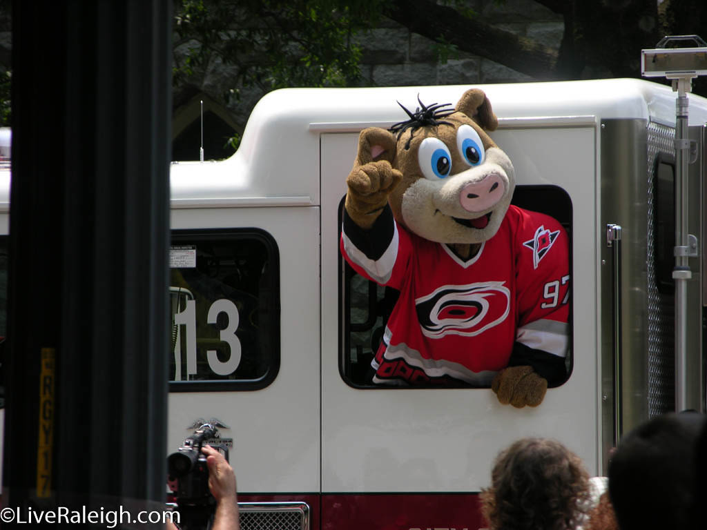Hurricanes Pig mascot Stormy celebrating in a parade